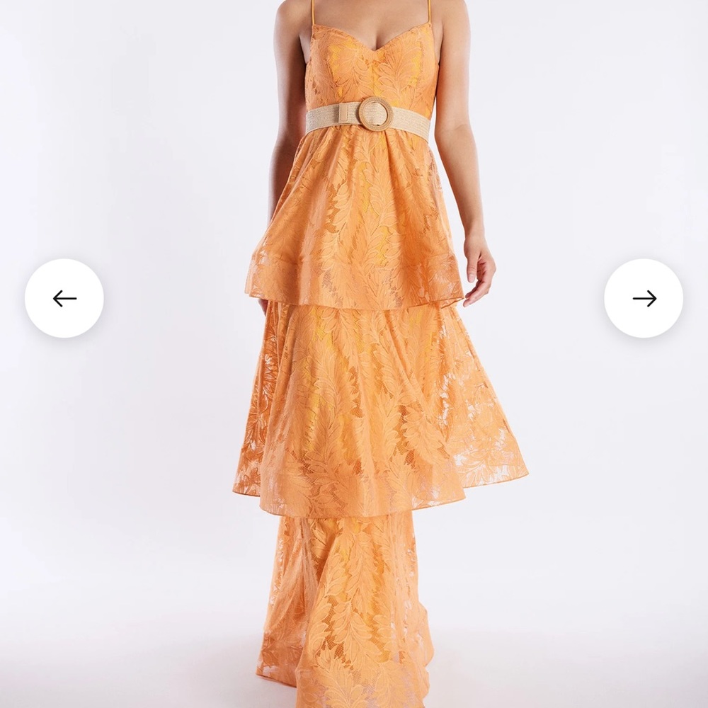 BCBG Maxazria Brianna Tiered Gown